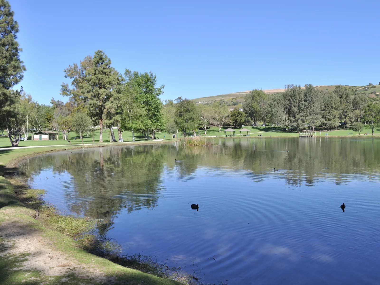 The lake at Carbon Canyon Regional Park in Brea