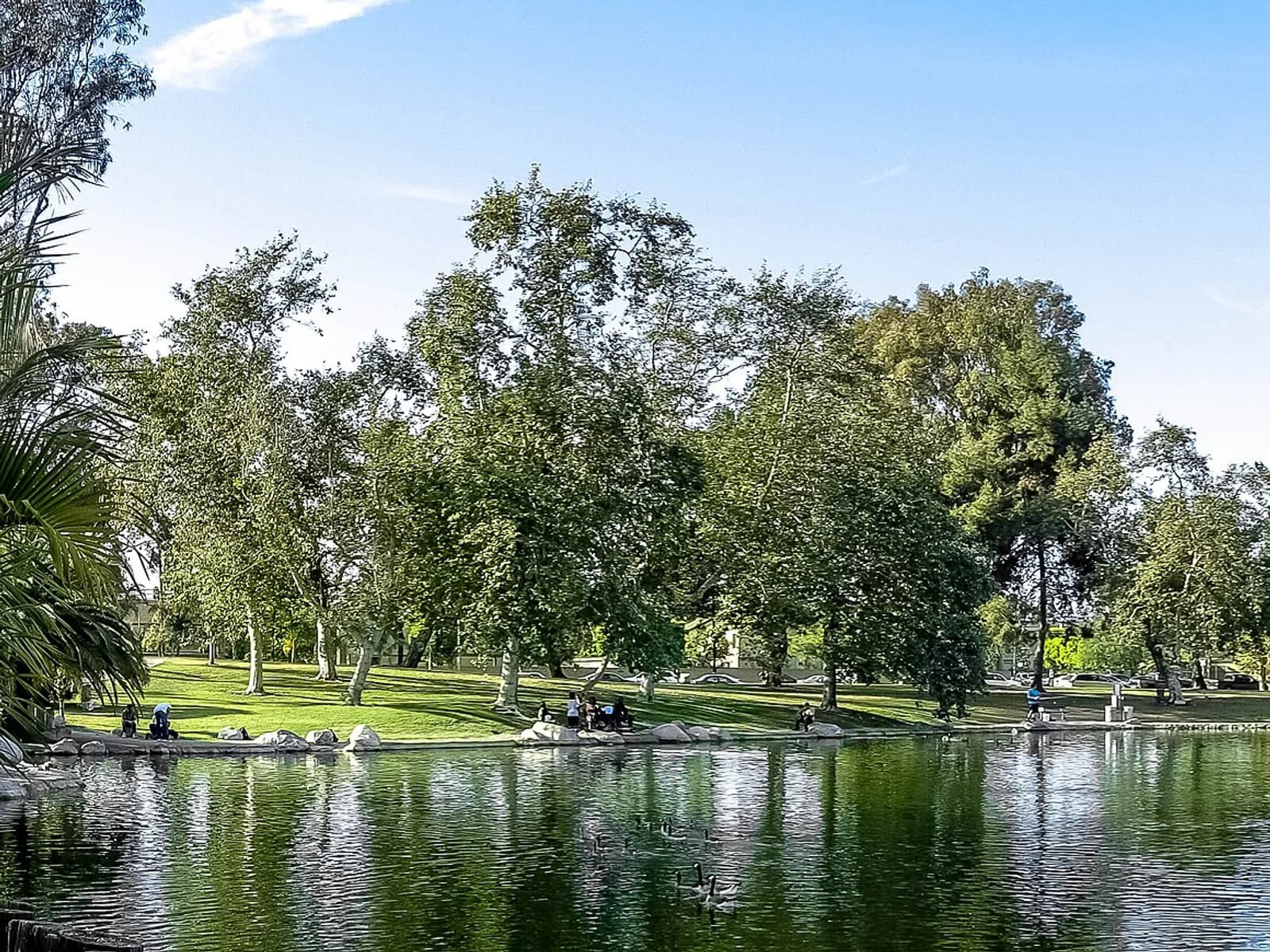 The lake at Mile Square Regional Park in Fountain Valley